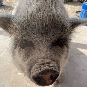 Meet your Posher, Ethan